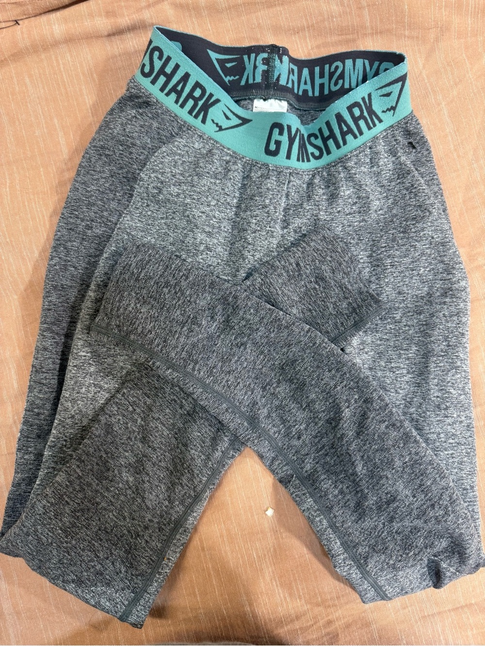 Gymshark Gray Leggings with Teal Logo Waistband